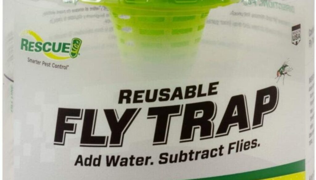 flytrap